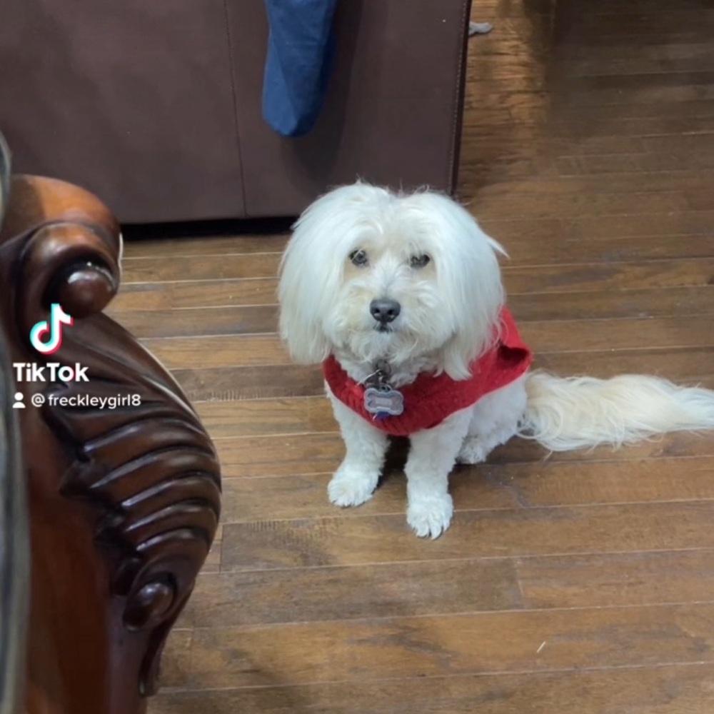 Meet your Posher, Ana